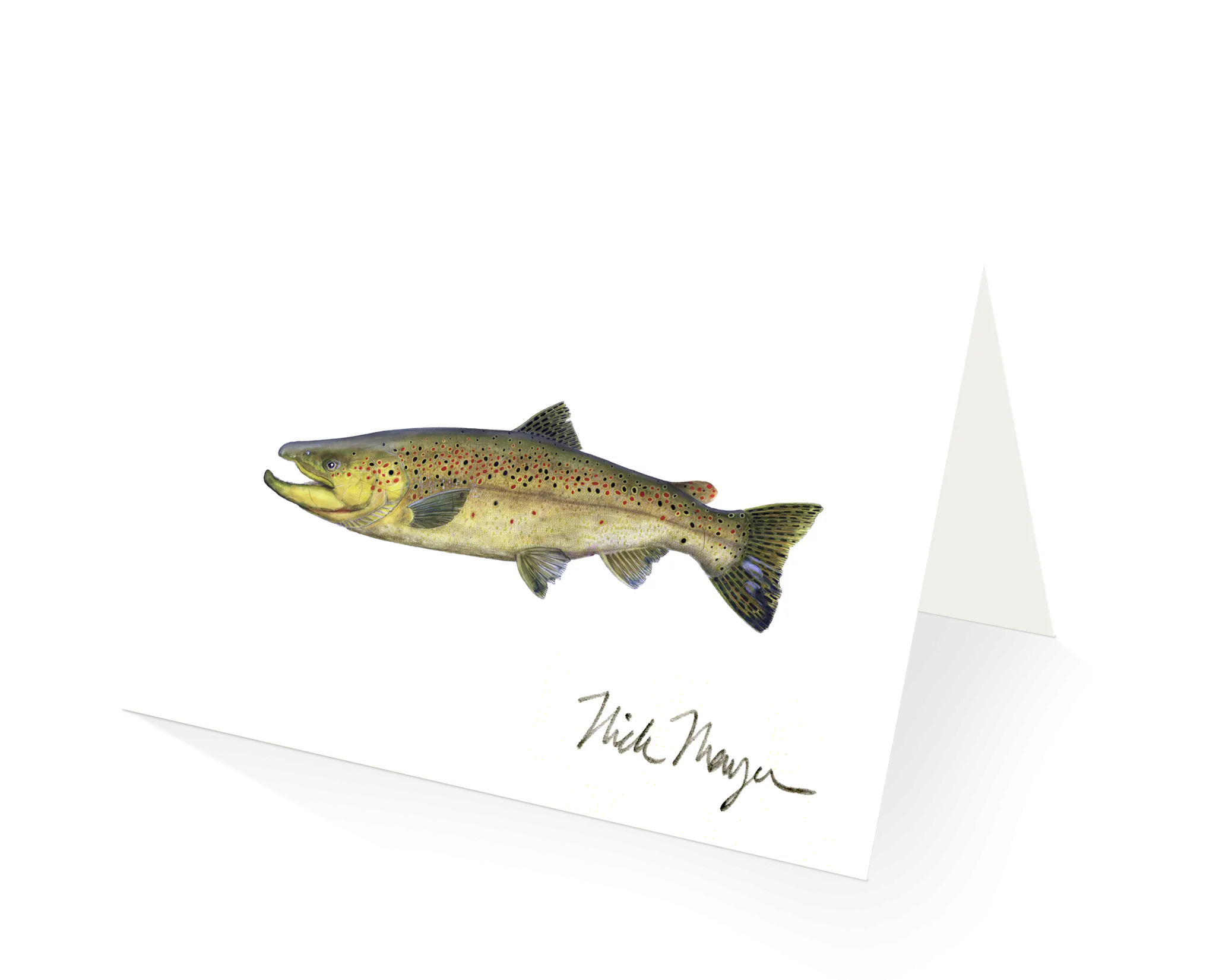 Brown Trout