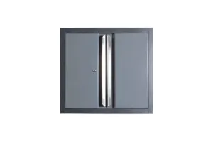 Dragonfire Pro Series Wall Cabinet