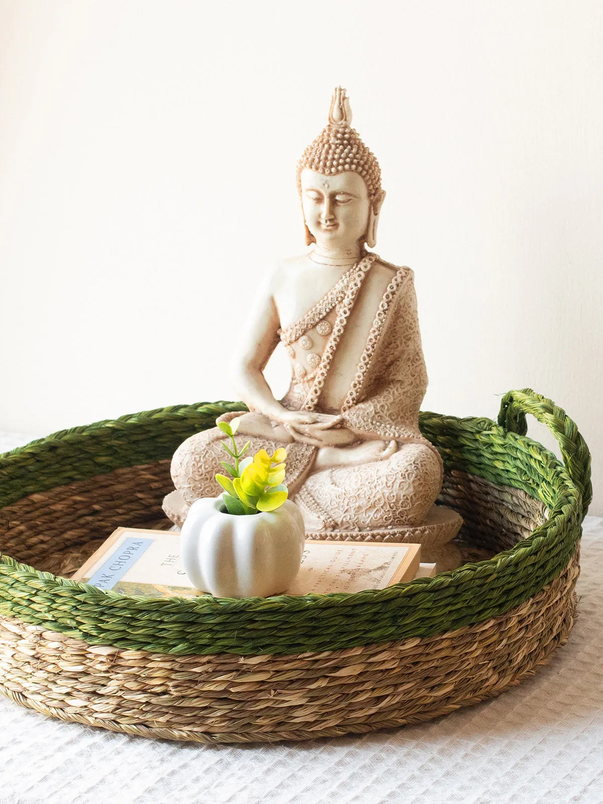 Dual Color Table Tray Organizer