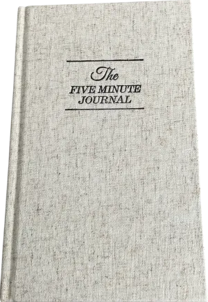 Intelligent Change Beige The Five Minute Journal