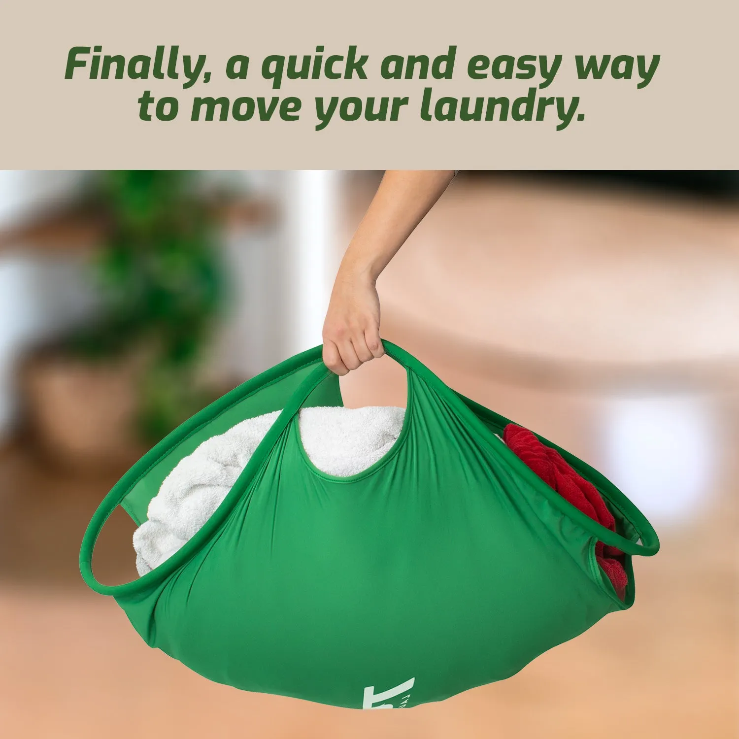 Laundry Turtle